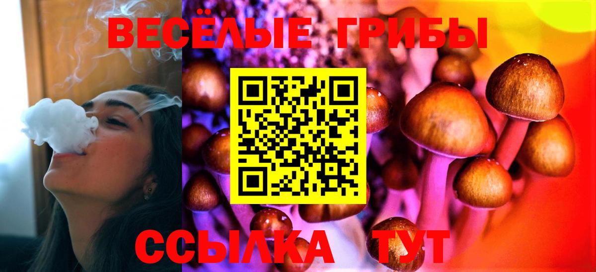 Павлово  Галлюциногенные грибы MAGIC MUSHROOMS  Вход с VPN 